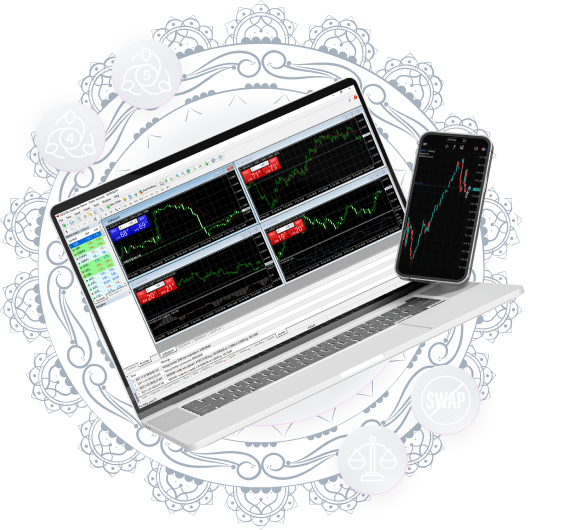 الحسابات الإسلامية مع تريد فيو مينا